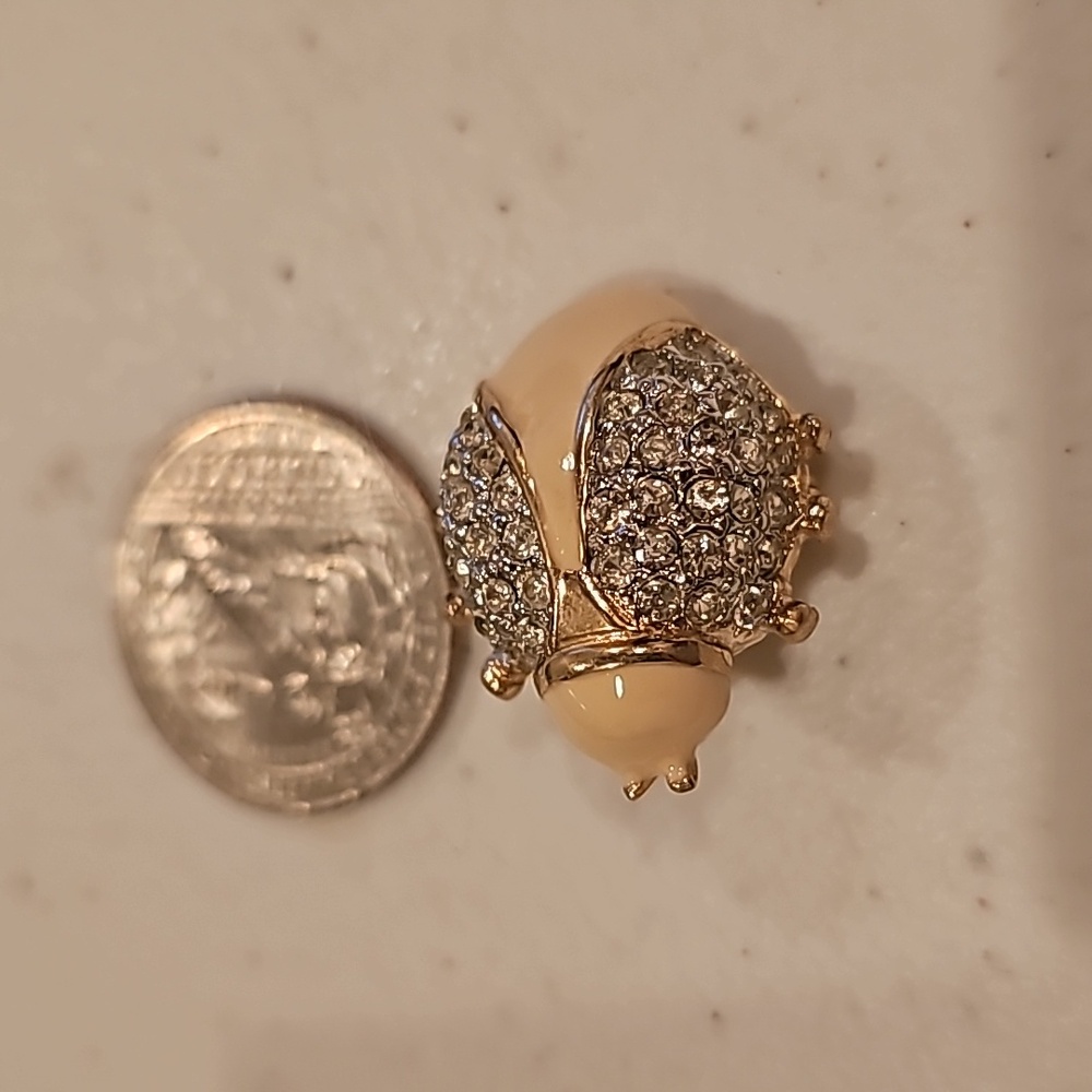 Vintage Pin